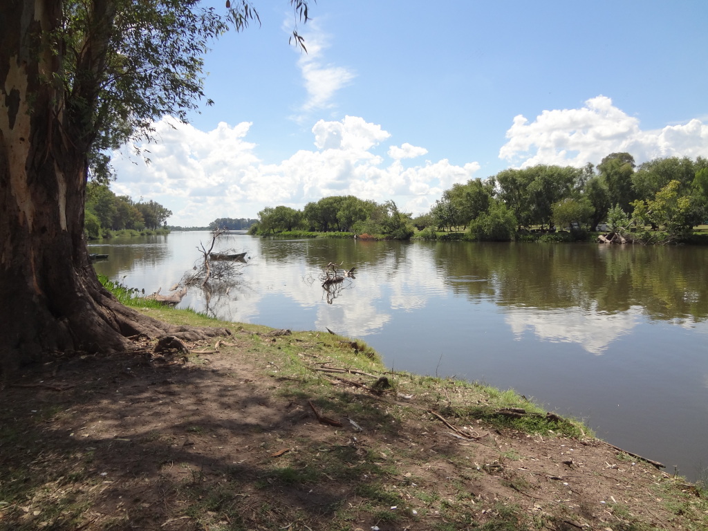 Süsswasserinseln im Rio Negro Uruguay