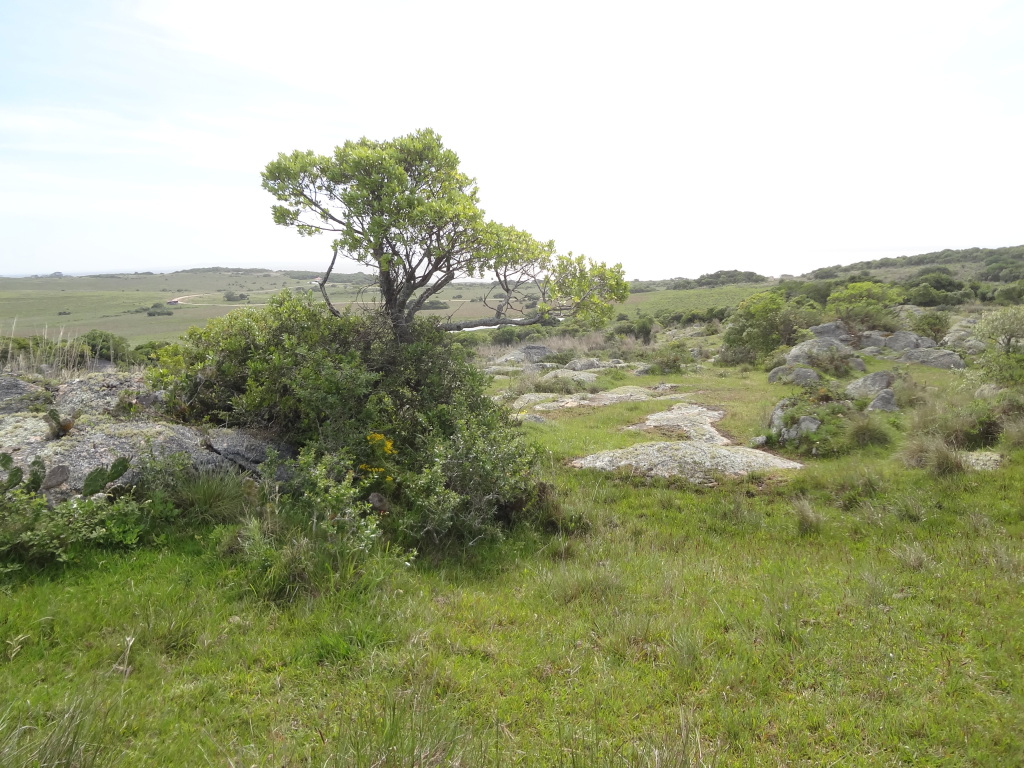 Sierra Landschaft in Uruguay 