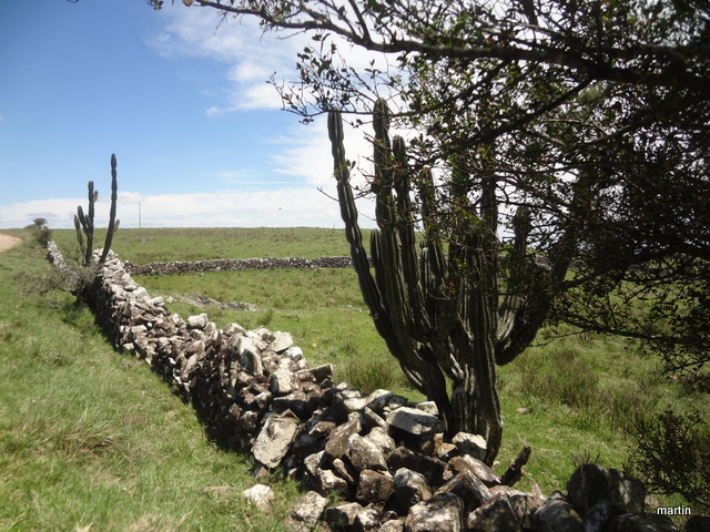 Bodenpreise Farmland Landpreis Uruguay 