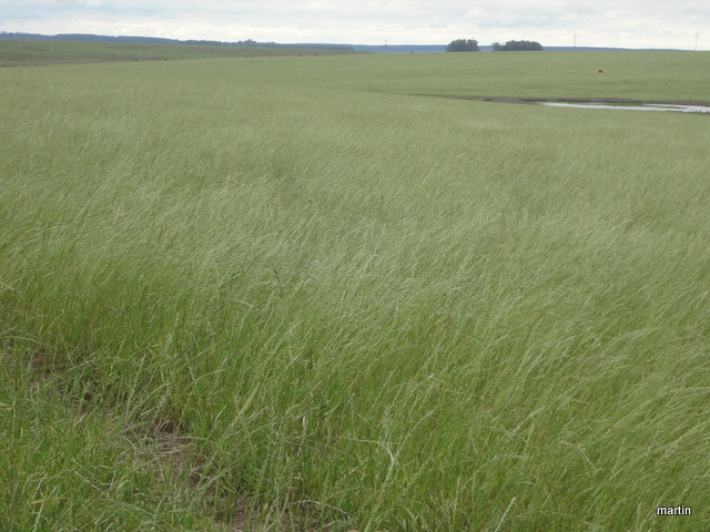 Preise Boden Uruguay Landwirtschaft