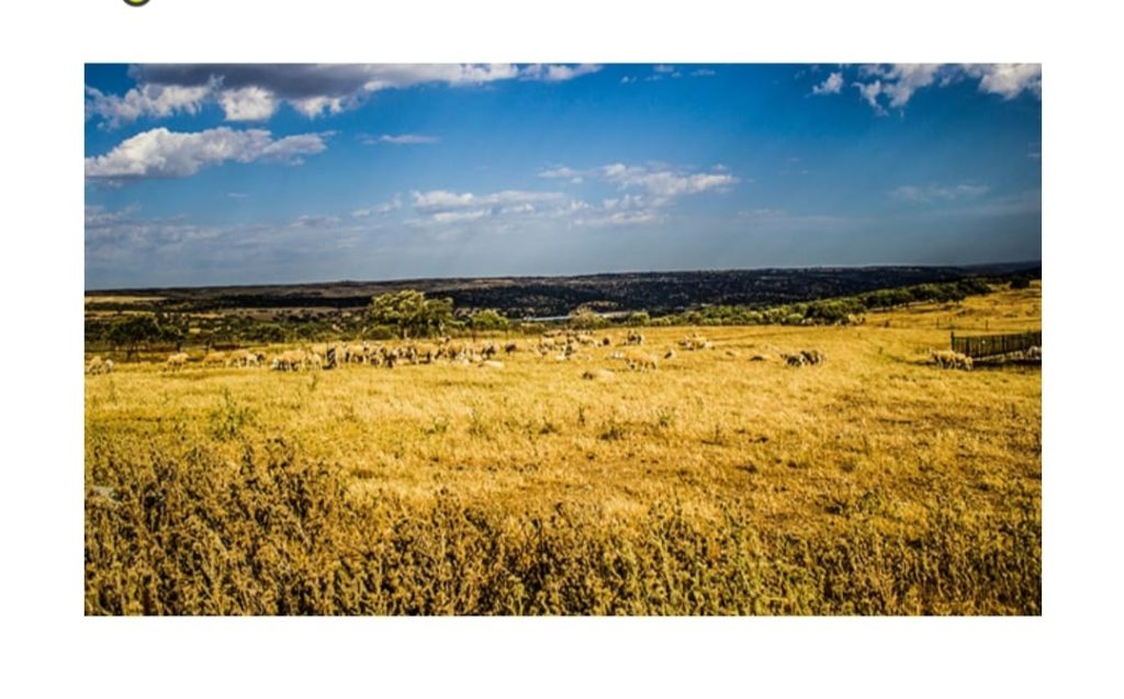 Uruguay Farmland Agrarland Aussteiger zu verkaufen