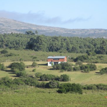 Landhaus kaufen in Uruguay – direkt vom deutschen Eigentümer ohne Makler