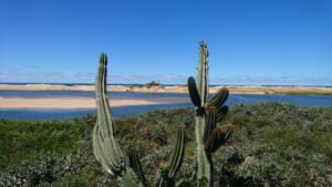 Uruguay auswandern