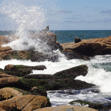 Strände von Uruguay