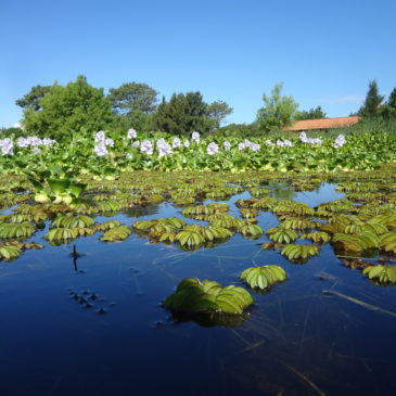 Individuelle Seniorenreisen Uruguay