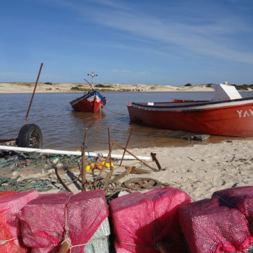 Personalisierte Touren und Reisen durch Uruguay