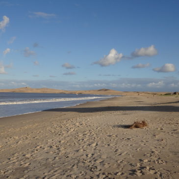 Fotos schiessen – Fotosafari in Uruguay