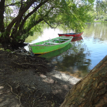 In Uruguay Urlaub machen oder durch Uruguay reisen?