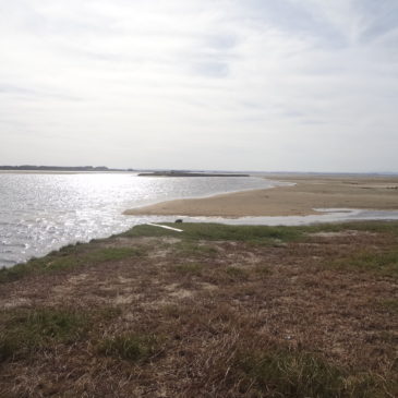 Uruguay Natur – Vogel- und Tierbeobachtung in der Laguna de Rocha