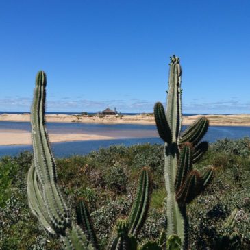 Uruguay Rundreise nach Mass: Reisekosten und Reiseangebot